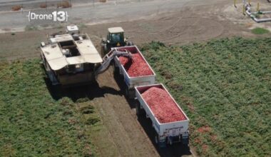 Sacramento farmer raises alarm after one of his toughest years yet