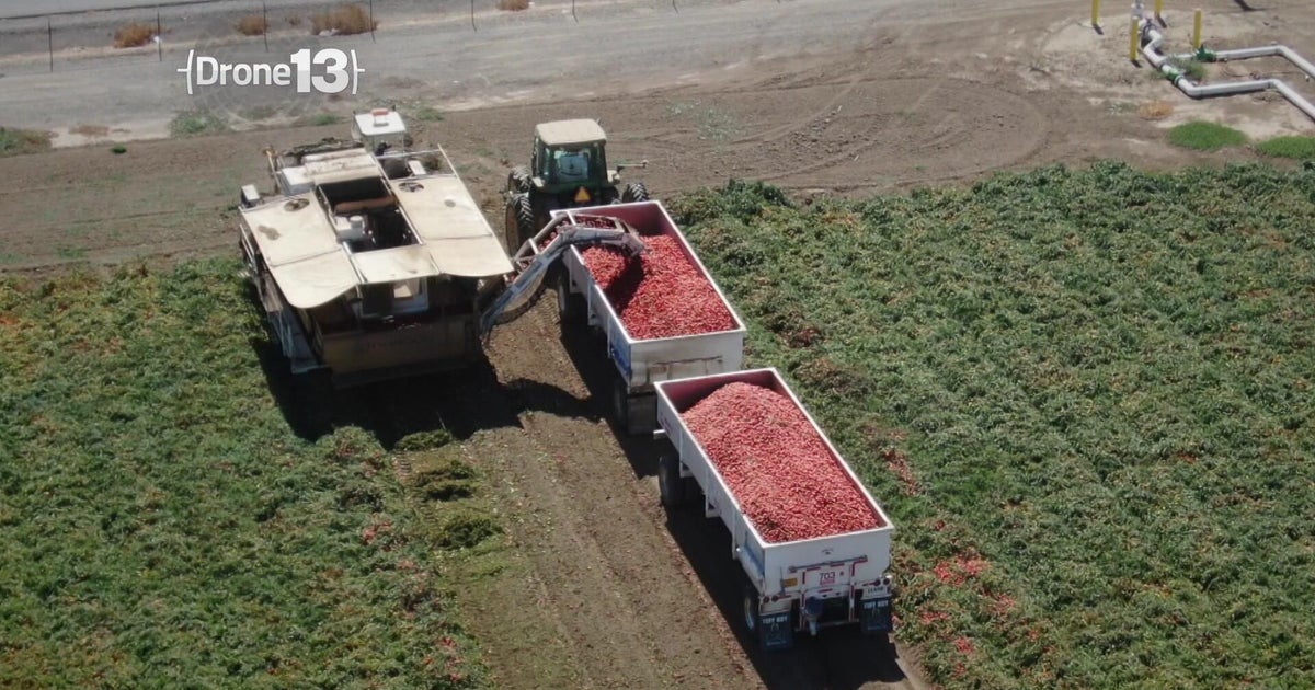 Sacramento farmer raises alarm after one of his toughest years yet