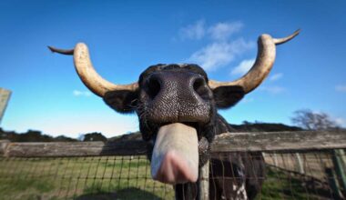 Dow Jones Futures Fall With Market At Key Level; Tesla, Amazon, Defense Firms In Focus