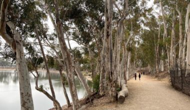 35 hikes in San Diego – San Diego Union-Tribune