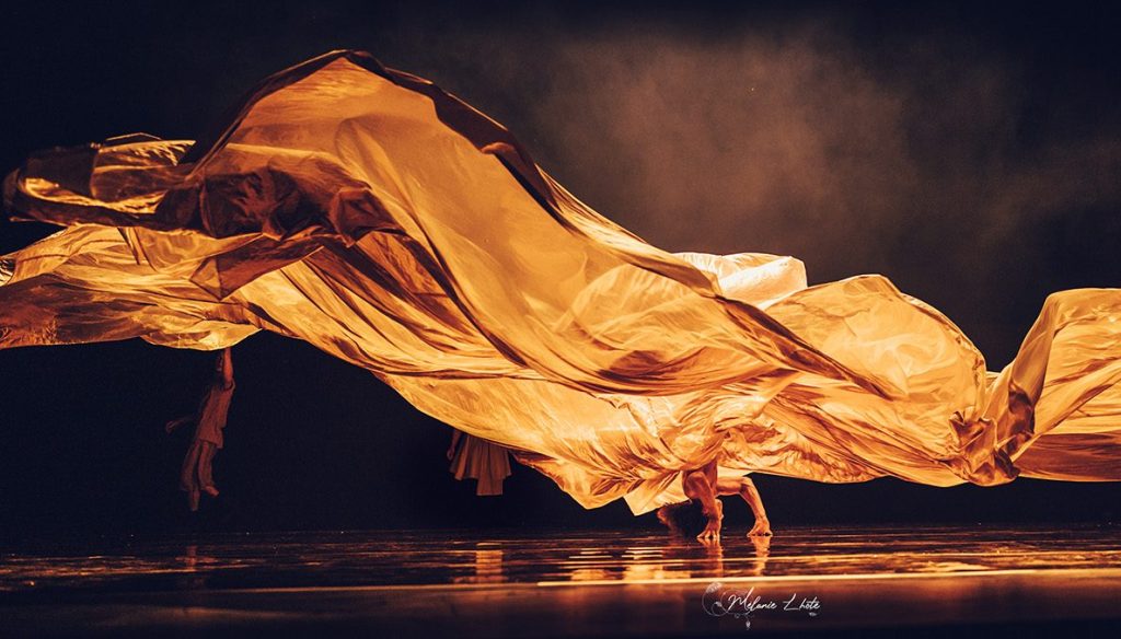 Our top San Diego dance picks for the coming year – San Diego Union-Tribune