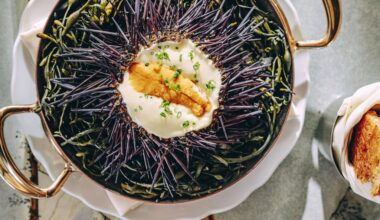 The top 10 things I ate at San Diego restaurants in 2025 – San Diego Union-Tribune