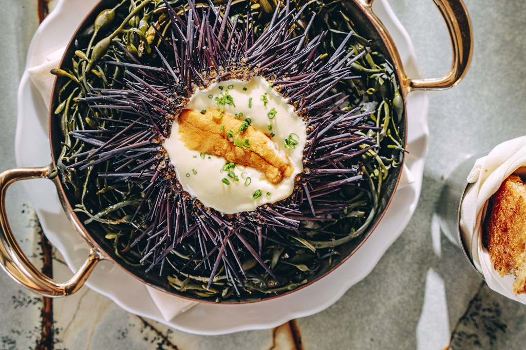 The top 10 things I ate at San Diego restaurants in 2025 – San Diego Union-Tribune