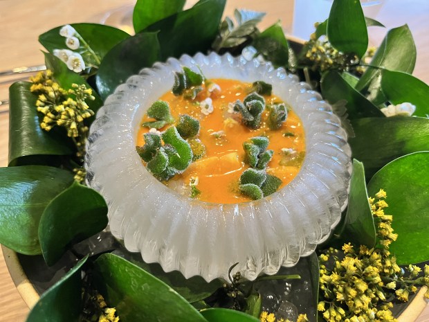 Michelin-starred Lilo restaurant in Carlsbad opened the dinner section of its pre-fixe menu last spring with this chilled dish of sour gooseberries, Buddha's hand fruit, fingerlimes, spruce, sea buckthorn, yuzu and lime, served in an ice bowl on a bed of leaves and flower buds. (Pam Kragen / The San Diego Union-Tribune)