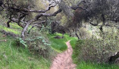17 hikes in San Diego's North County