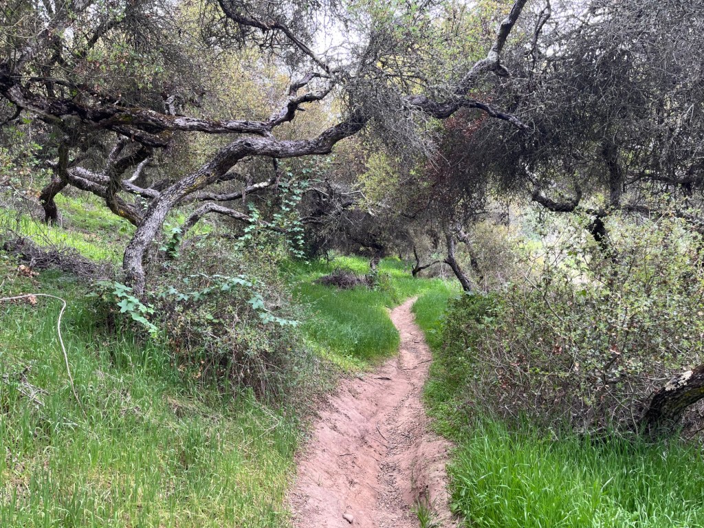 17 hikes in San Diego's North County