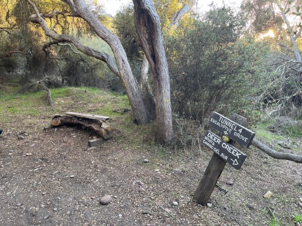 The Del Mar Mesa Preserve includes a mix of trails, many of which are interconnected. (Maura Fox / The San Diego Union-Tribune)
