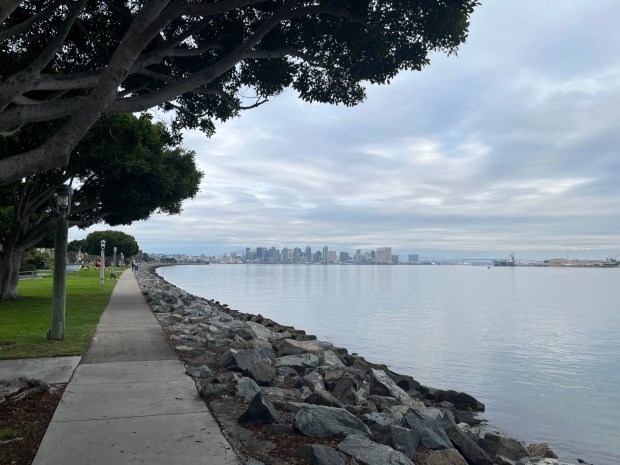 The walk at Harbor Island Park offers views of San Diego's downtown and Coronado Bridge. (Maura Fox / The San Diego Union-Tribune)