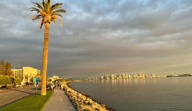 A guide to walking Harbor Island Park