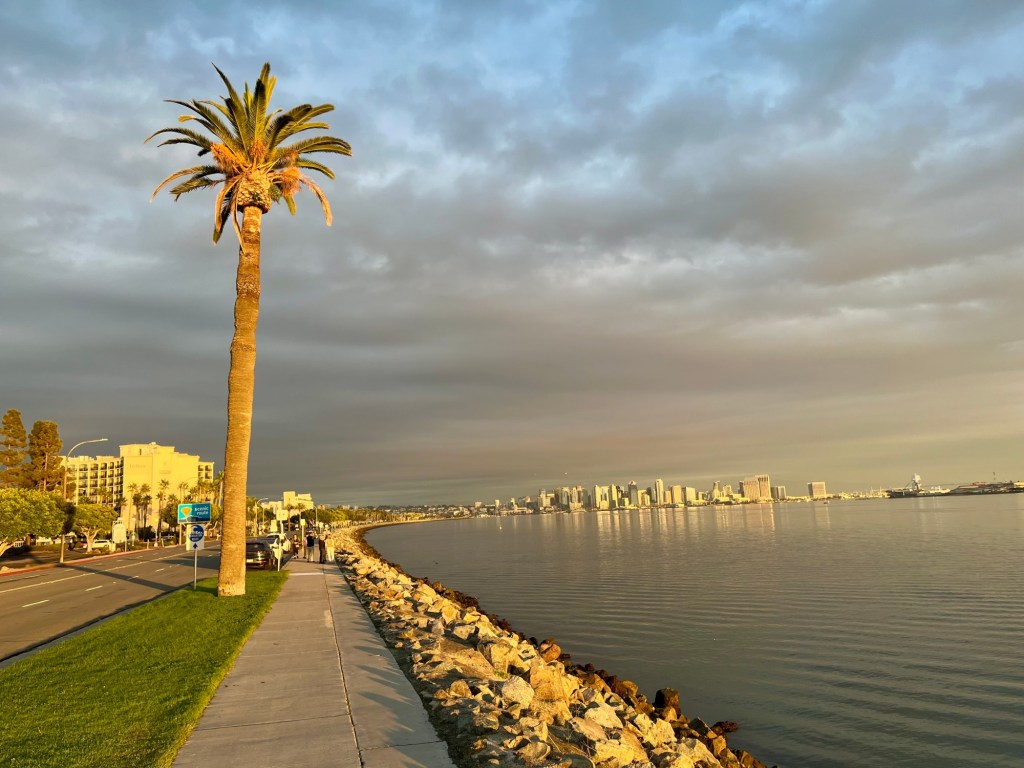 A guide to walking Harbor Island Park