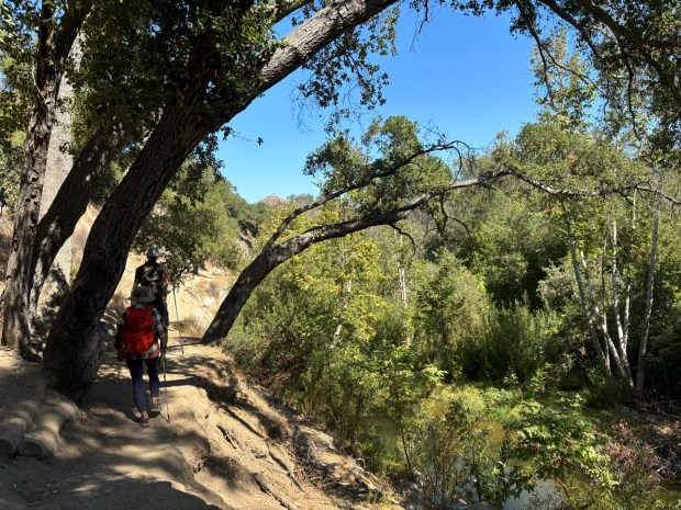 Hikers heading back toward the Sandia Creek trailhead. Most sections of the trail are flat and wide, but there are a few narrow sections overlooking the river. (Maura Fox / The San Diego Union-Tribune)