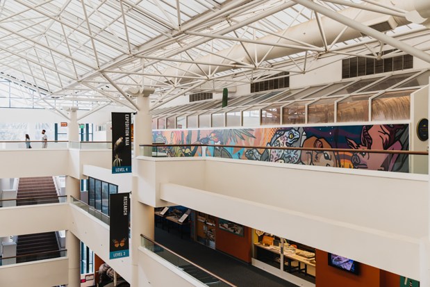 The atrium roof of the San Diego Natural History Museum, photogrpahed from the museum's fourth floor. The roof, which suffered a failure that caused rain-related water damage last year, has reached the end of its 25-year lifespan. It be replaced by a solid, flat roof with energy-saving solar panels and a 100-year lifespan. (San Diego Natural History Museum)