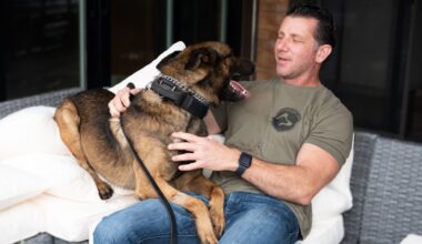 San Diego police dog recovers in time for Christmas Day shift