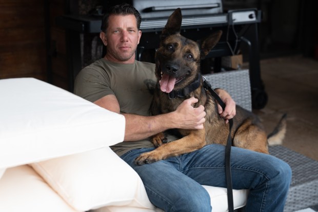 San Diego police Officer Brendon Johanson and his 4-year-old canine, Bowie, play at their house about a week after the dog was allegedly strangled by a barricaded suspect near Second and West Island avenues in Gaslamp Quarter on December 16, 2025. (Photos courtesy of Abby Langley, San Diego Police Department)
