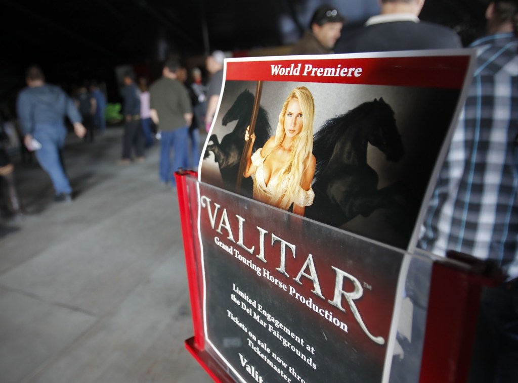 Woman in murder-for-hire plot dies by suicide