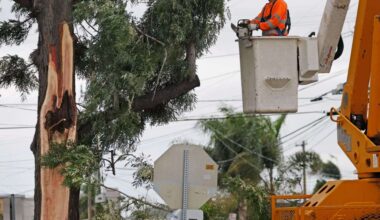 Authorities identify City Heights man killed by falling tree