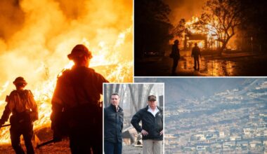 White House slams Newsom after gov claims Trump admin turned down LA wildfire aid meeting
