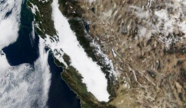 An Unrelenting Tule Fog