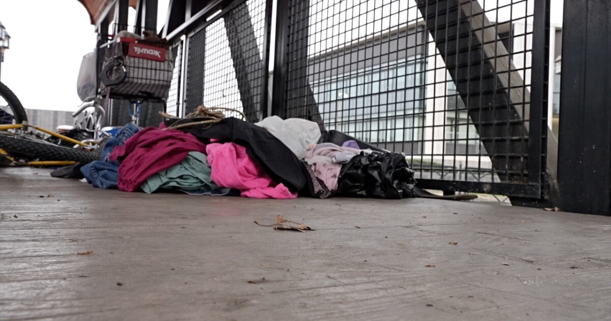 Homeless Memorial Honors lives lost, PIT Count shows need for volunteers