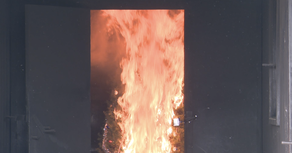 Fire crews show dangers of dry Christmas trees in safety demo