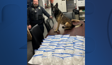 K-9 finds more than 50 pounds of meth in Bakersfield traffic stop