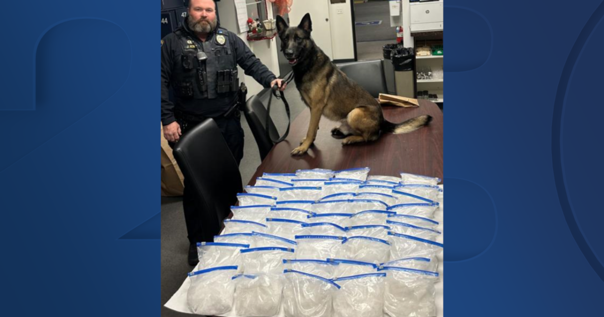 K-9 finds more than 50 pounds of meth in Bakersfield traffic stop