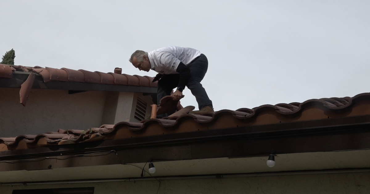 Tree removal crews and roofers work to assess damage ahead of next storm
