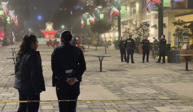 La Jolla woman sentenced in murder-for-hire plot dies by suicide in Little Italy