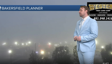 Foggy start to the week