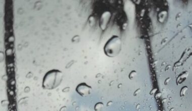 San Diego County in for a wet Christmas week