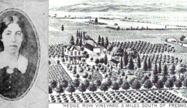 The women who helped pioneer Fresno's raisin industry