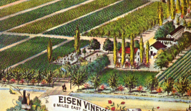 The Eisen Brothers and the birth of Fresno's raisin industry