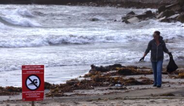 Could a sewage spill and more rain cancel a beloved New Year’s Day tradition at Cabrillo Beach?