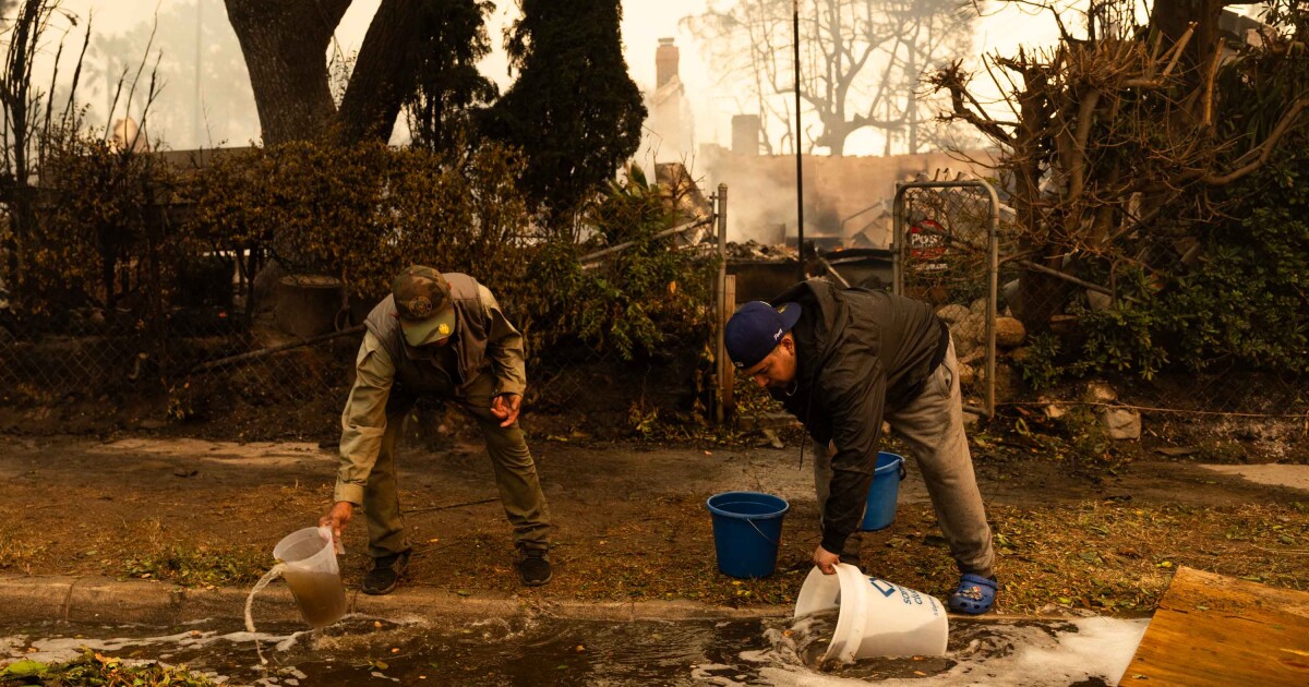 Didi Hirsch receives funding to support mental health of January fire survivors