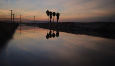 California farmer arrested in connection with wife's death