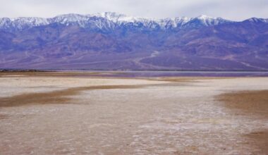 Ancient lake comes back to life in Death Valley after record rainfall