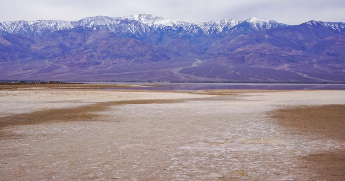 Ancient lake comes back to life in Death Valley after record rainfall