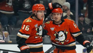 Ducks defeat Blue Jackets to retake first in Pacific Division