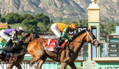 Storms prompt Santa Anita to postpone season-opening races