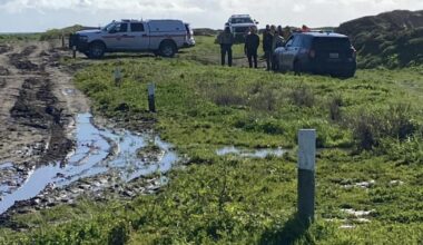 Body found on beach in Santa Cruz County north of site where shark was spotted, officials say