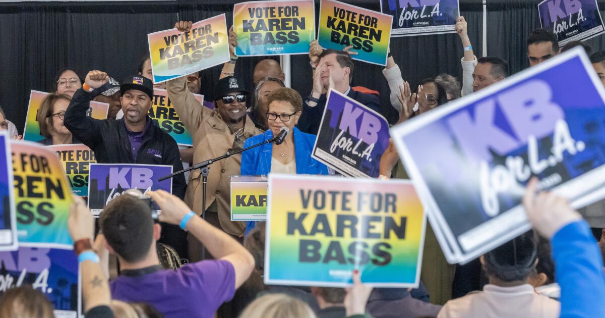 Who is Bass running against? 'The billionaire class,' she says