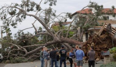 San Diego man killed by falling tree in third storm-related death