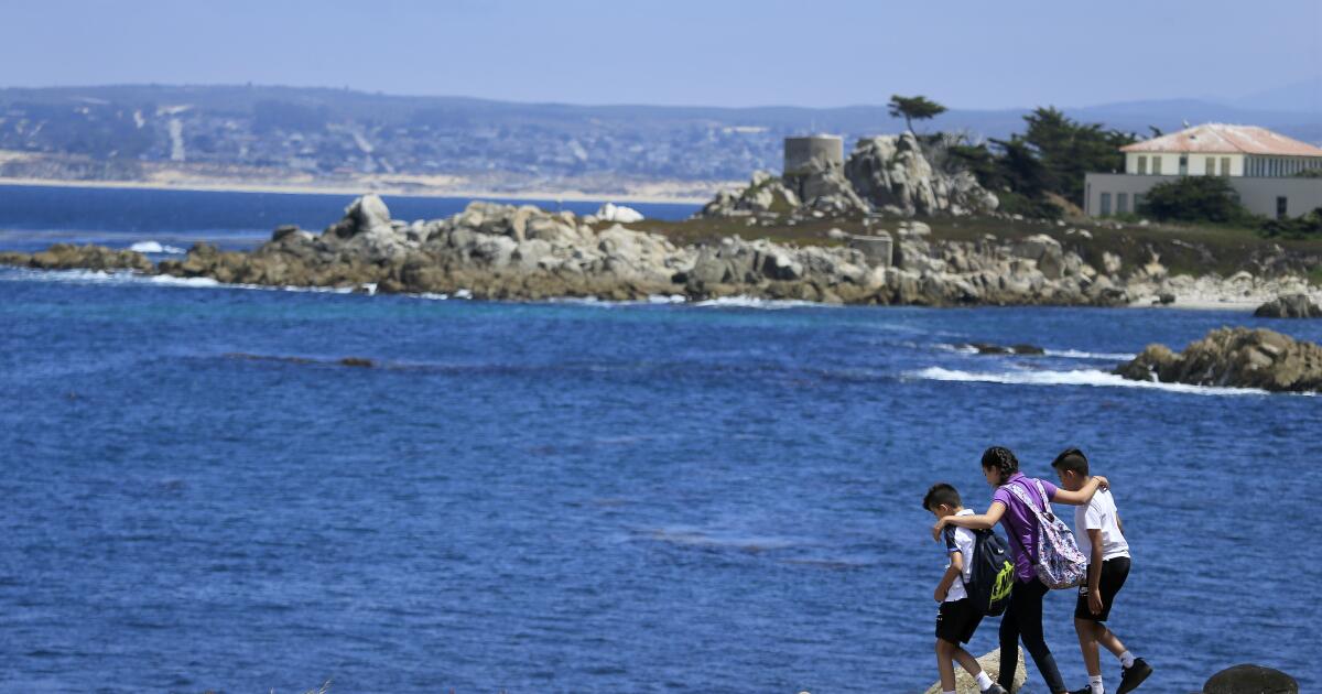 Shark attack feared after swimmer goes missing off Monterey Bay coast