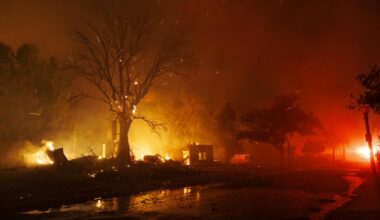 A 'greatest hits' of L.A. fire reform proposals