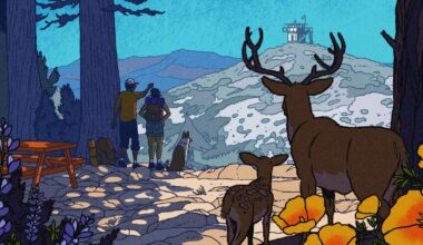 Your hiking and camping guide to Angeles National Forest