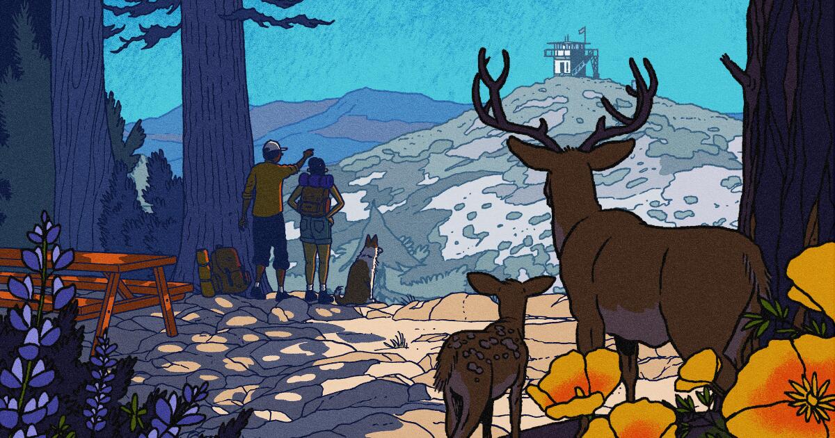 Your hiking and camping guide to Angeles National Forest