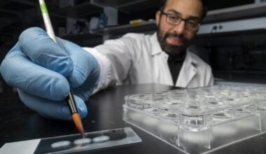 Could memory manipulation one day help treat PTSD, depression, dementia?