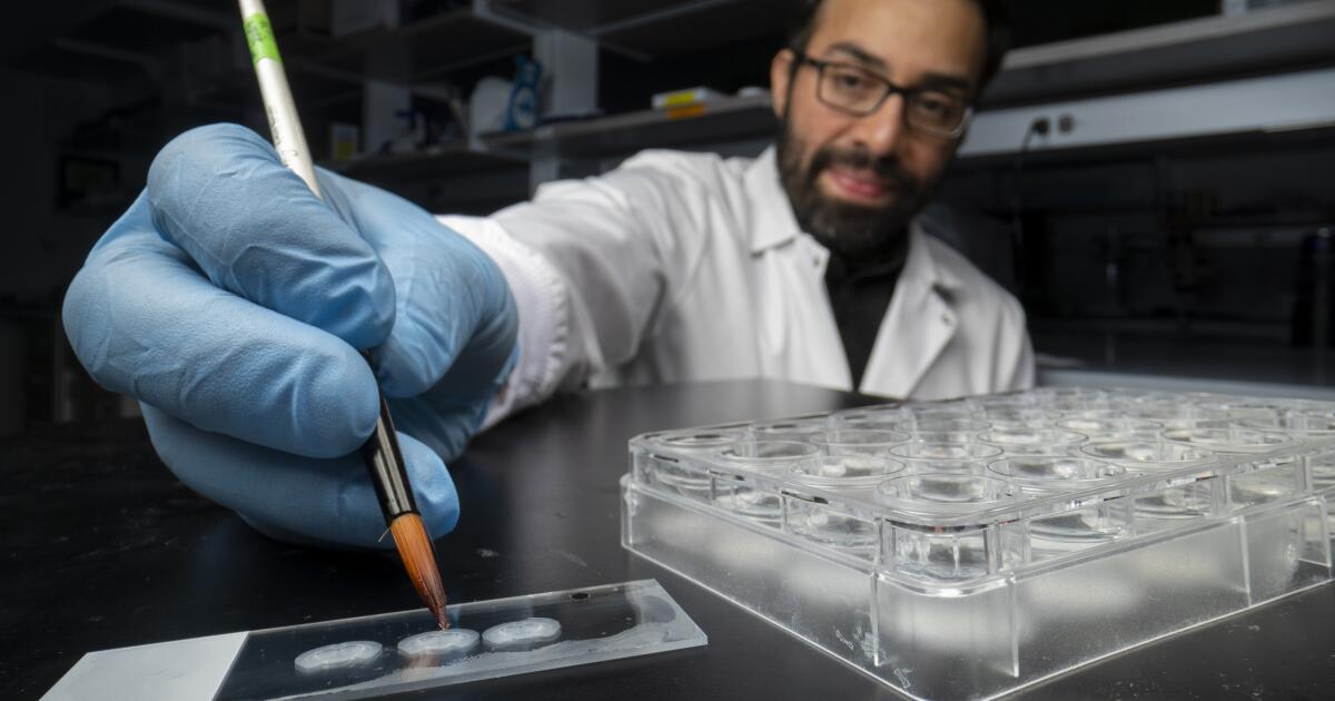 Could memory manipulation one day help treat PTSD, depression, dementia?