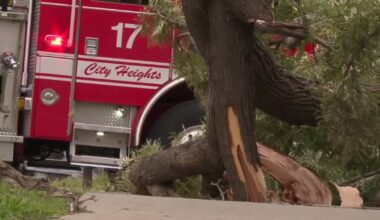 Deadly winds tear through San Diego on Christmas Eve, leaves behind destruction