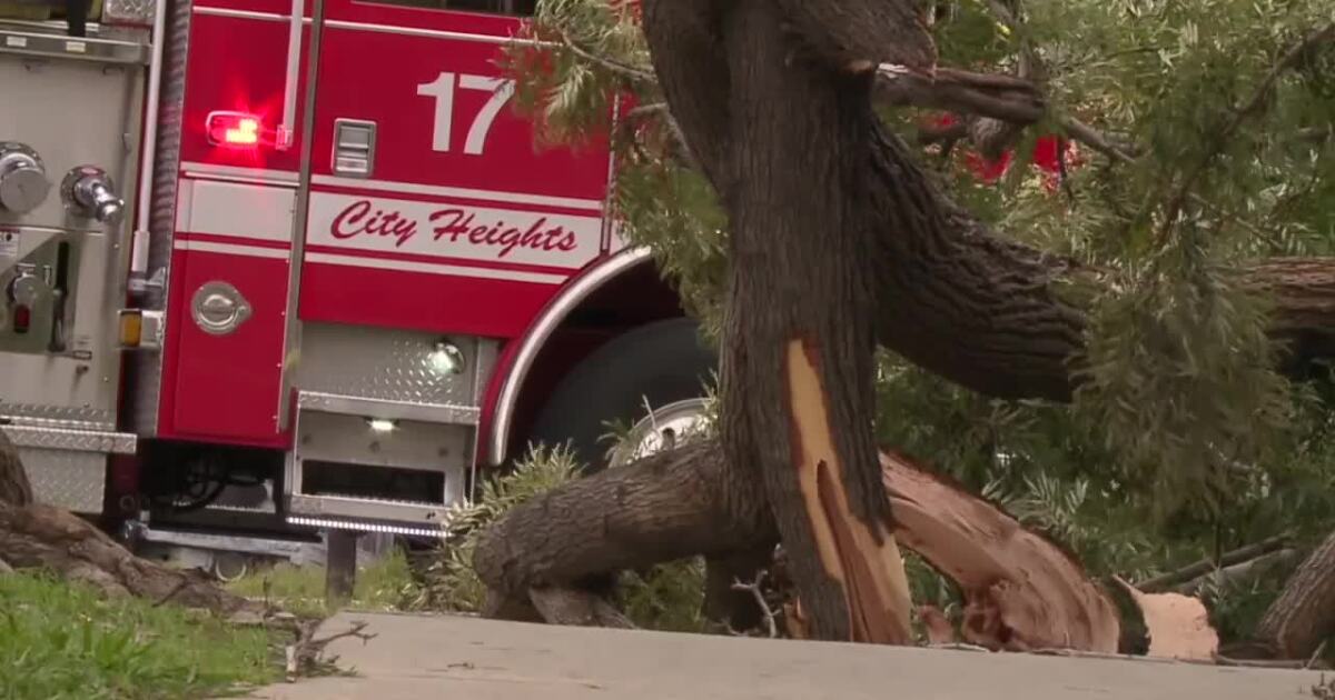 Deadly winds tear through San Diego on Christmas Eve, leaves behind destruction
